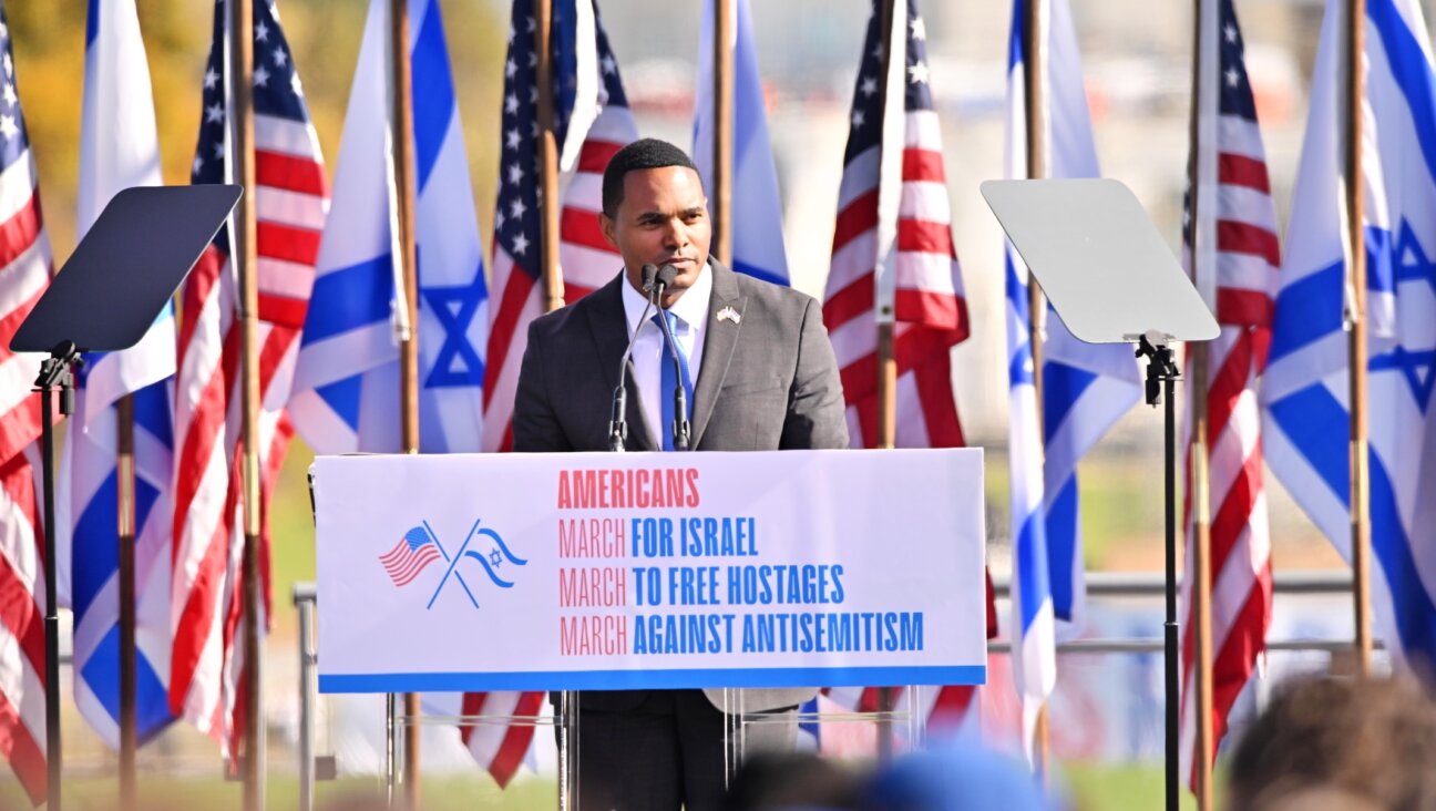 Rep. Ritchie Torres, a New York Democrat, speaks onstage at the March For Israel at the National Mall, Nov. 14, 2023. (Noam Galai/Getty Images)