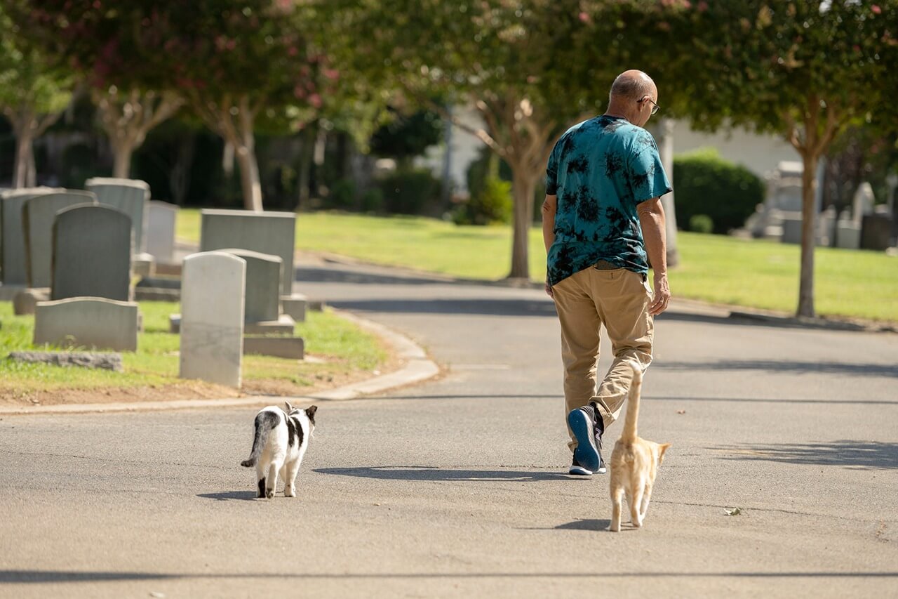 Caretaker John Marquez is followed Oreo and Zuko, two members of his feline “posse,” as he refers to them, at Home of Peace Jewish cemetery in Sacramento.