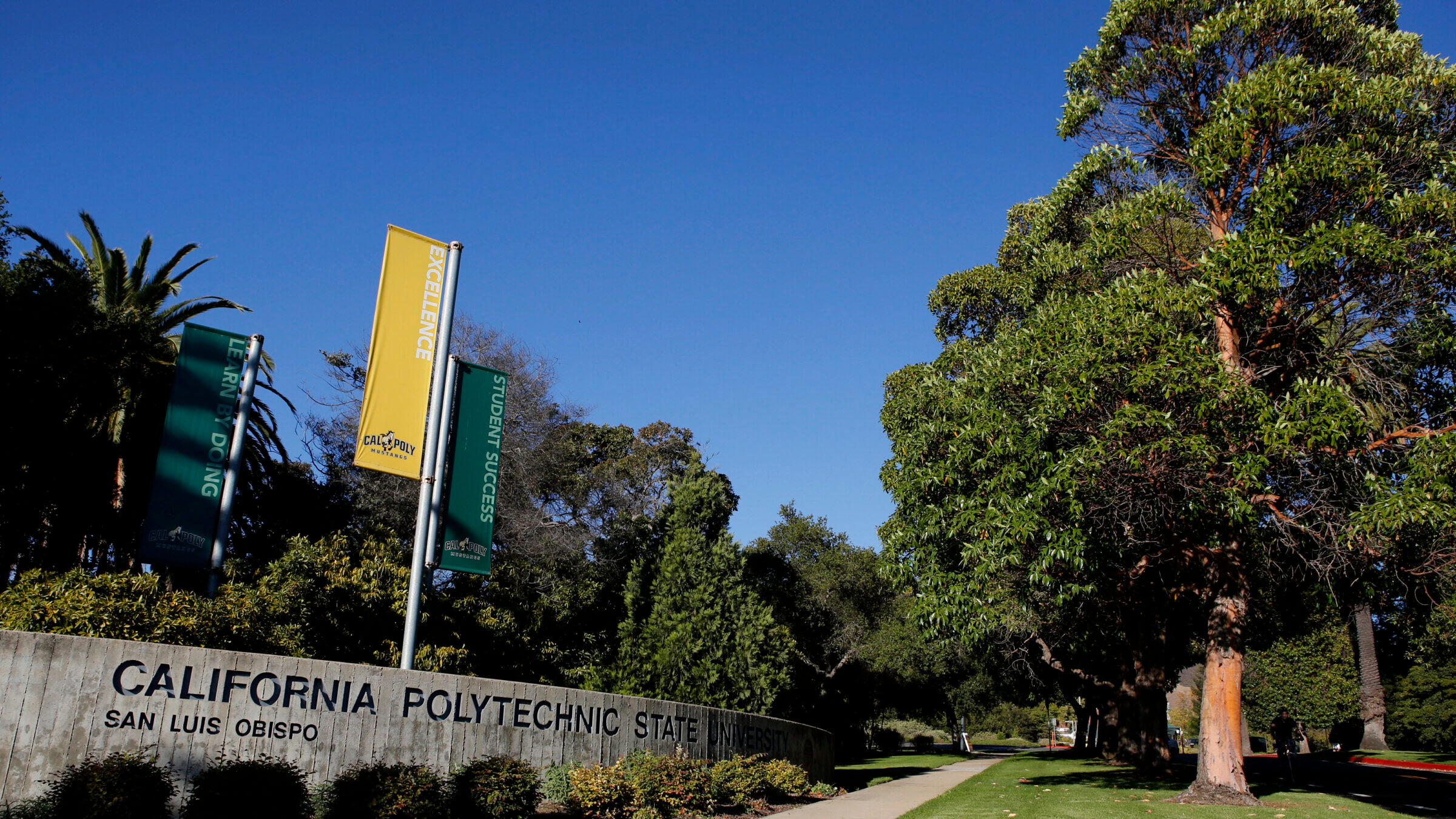The campus of California Polytechnic State University San Luis Obispo.