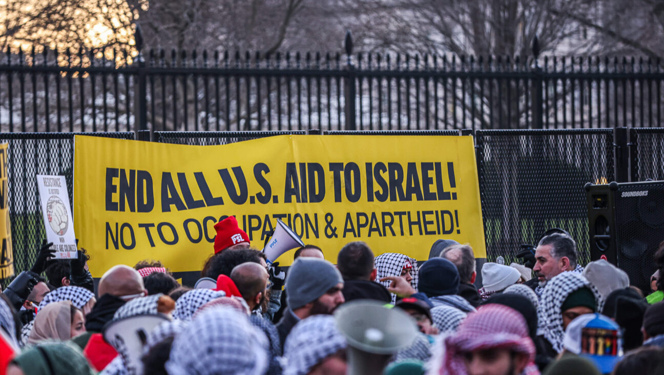 Pro-Palestinian demonstrators during the "March on Washington for Gaza" rally in front of the White House Jan. 13.
