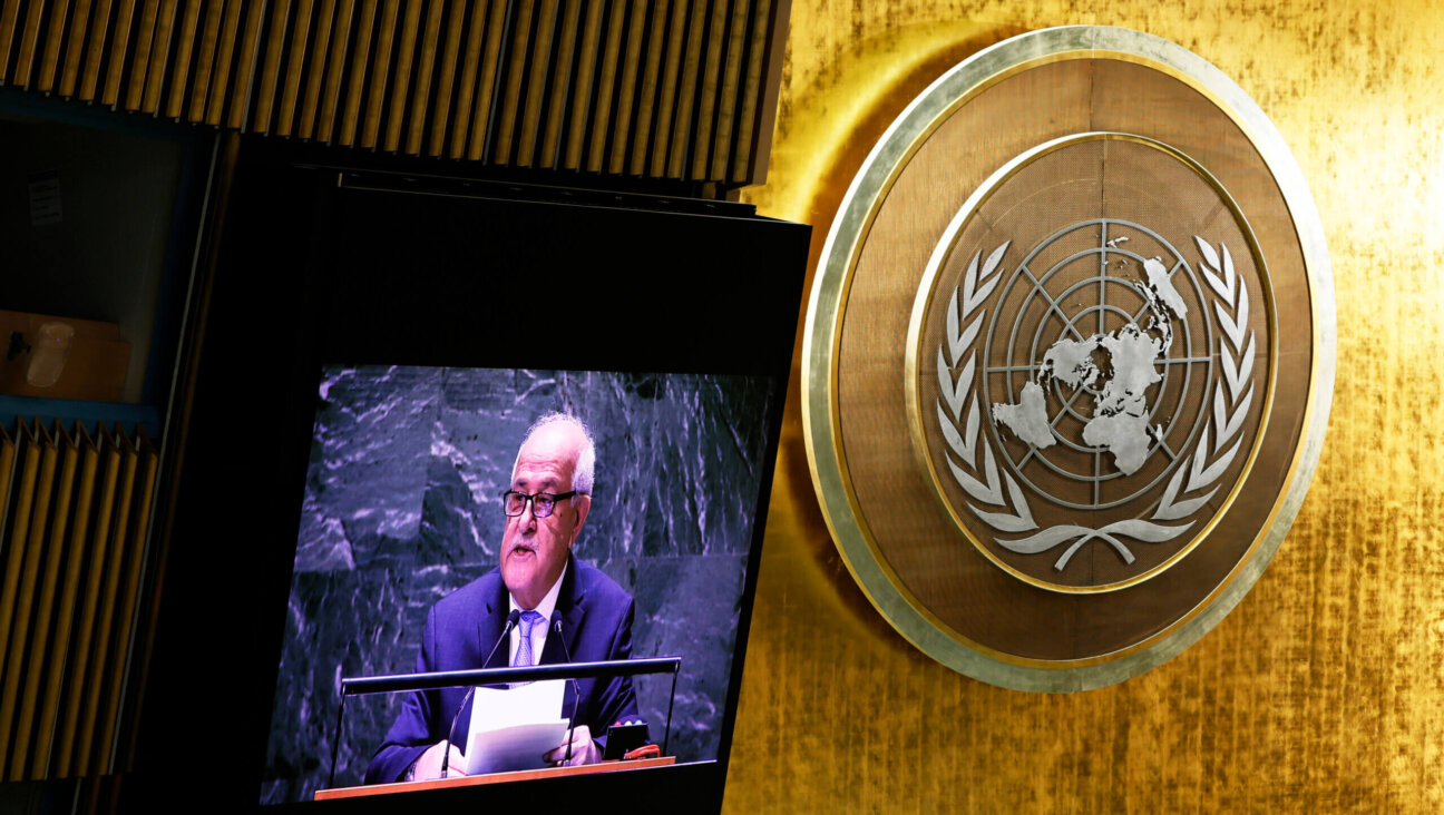 Palestinian Permanent Observer to the United Nations Riyad H. Mansour speaks during the General Assembly at the United Nations headquarters in New York City Nov. 28. 