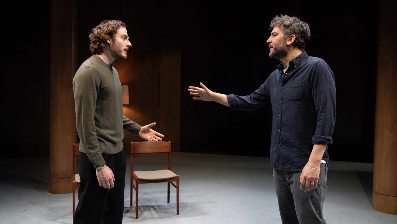 Ben Rosenfield and Josh Radnor in Itamar Moses' <i>The Ally.</i>
