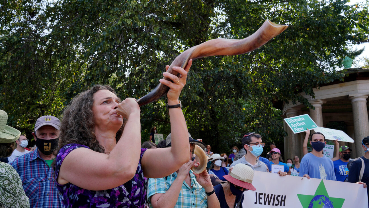 Rabbi Jennie Rosenn blows the shofar at the “Jewish Climate Action, Hear The Call Senator Schumer” event in New York City on September 12, 2021. (Jemal Countess / Getty, courtesy of Dayenu)