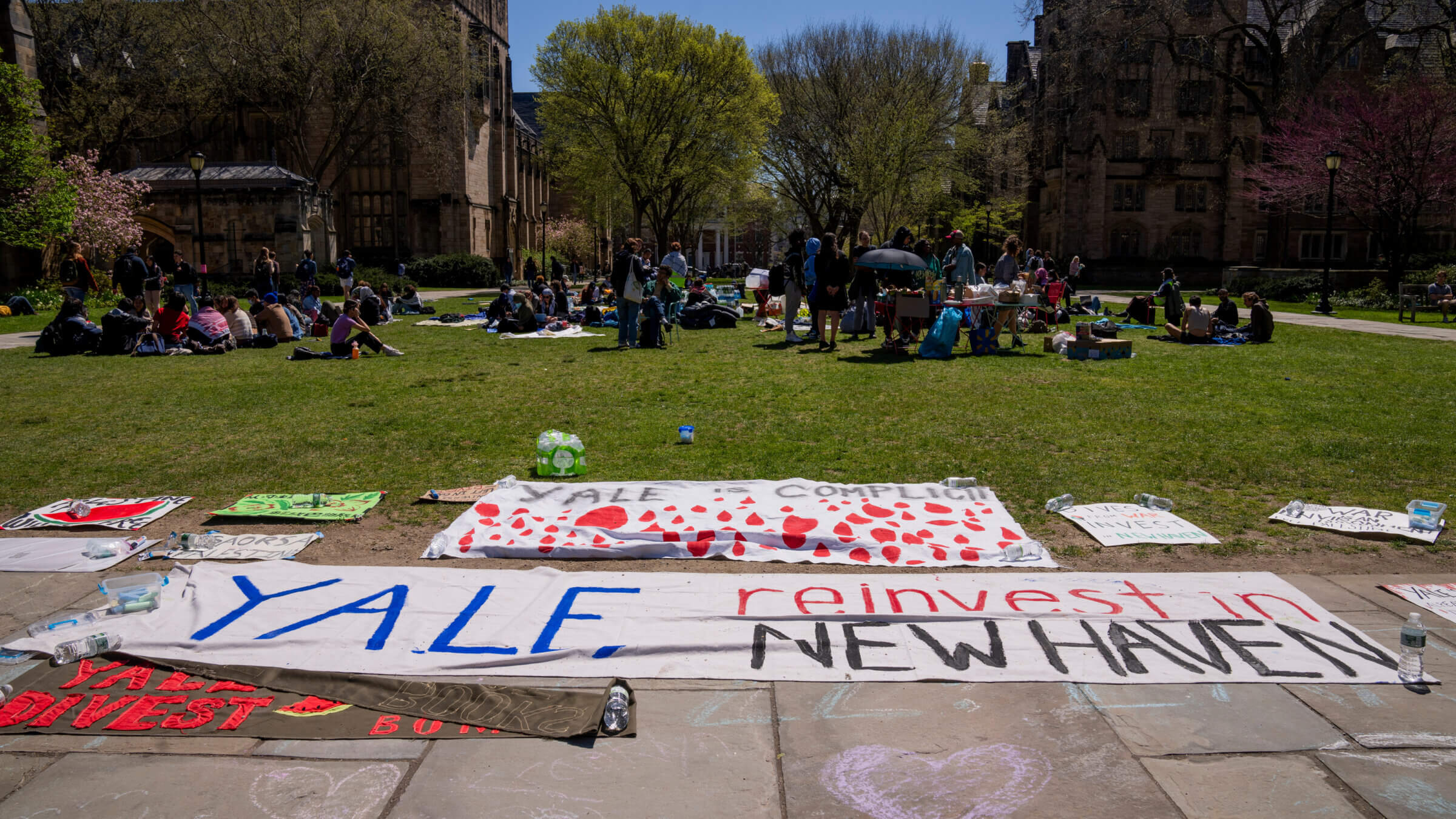 Pro-Palestinian signage displayed at Yale University in New Haven, Connecticut, where students sang Rabbi Creditor's song at a Seder.