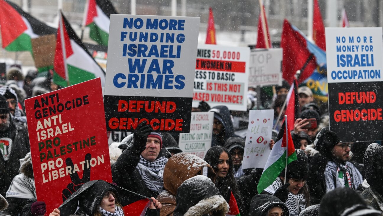 Pro-Palestinian protestors rally in Edmonton, Canada, Feb, 25, 2024, (Artur Widak/NurPhoto via Getty Images)