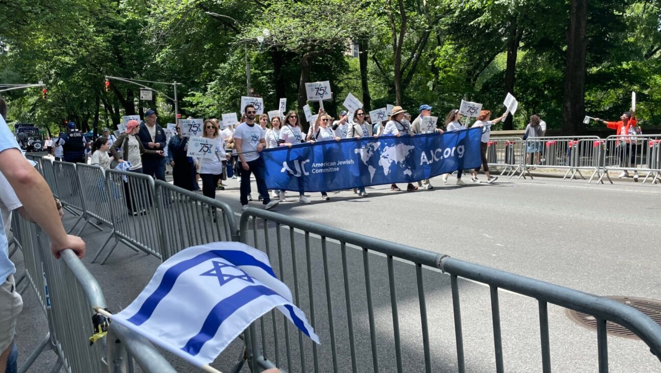 A delegation from the American Jewish Committee marches in the Celebrate Israel parade in New York City, June 4, 2023. (Philissa Cramer)
