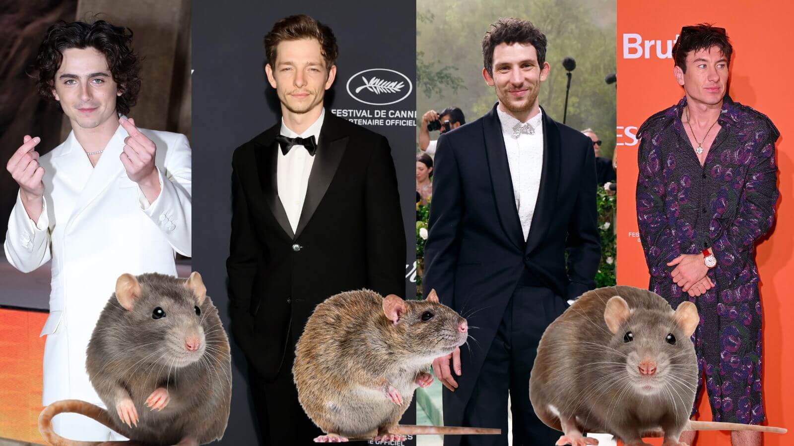 Some of the hot rodent men, with a few rodents for comparison.