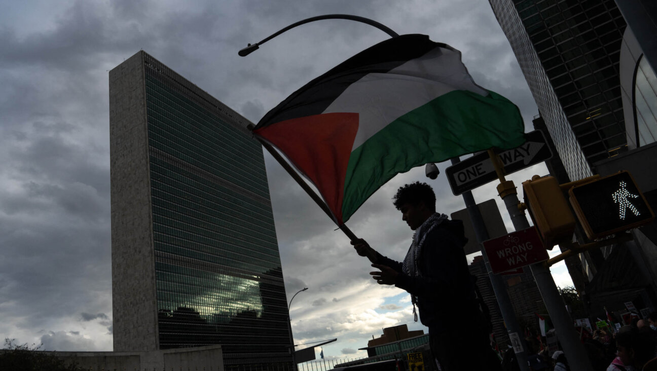 A demonstrator waves a Palestinian flag outside of United Nations headquarters. 