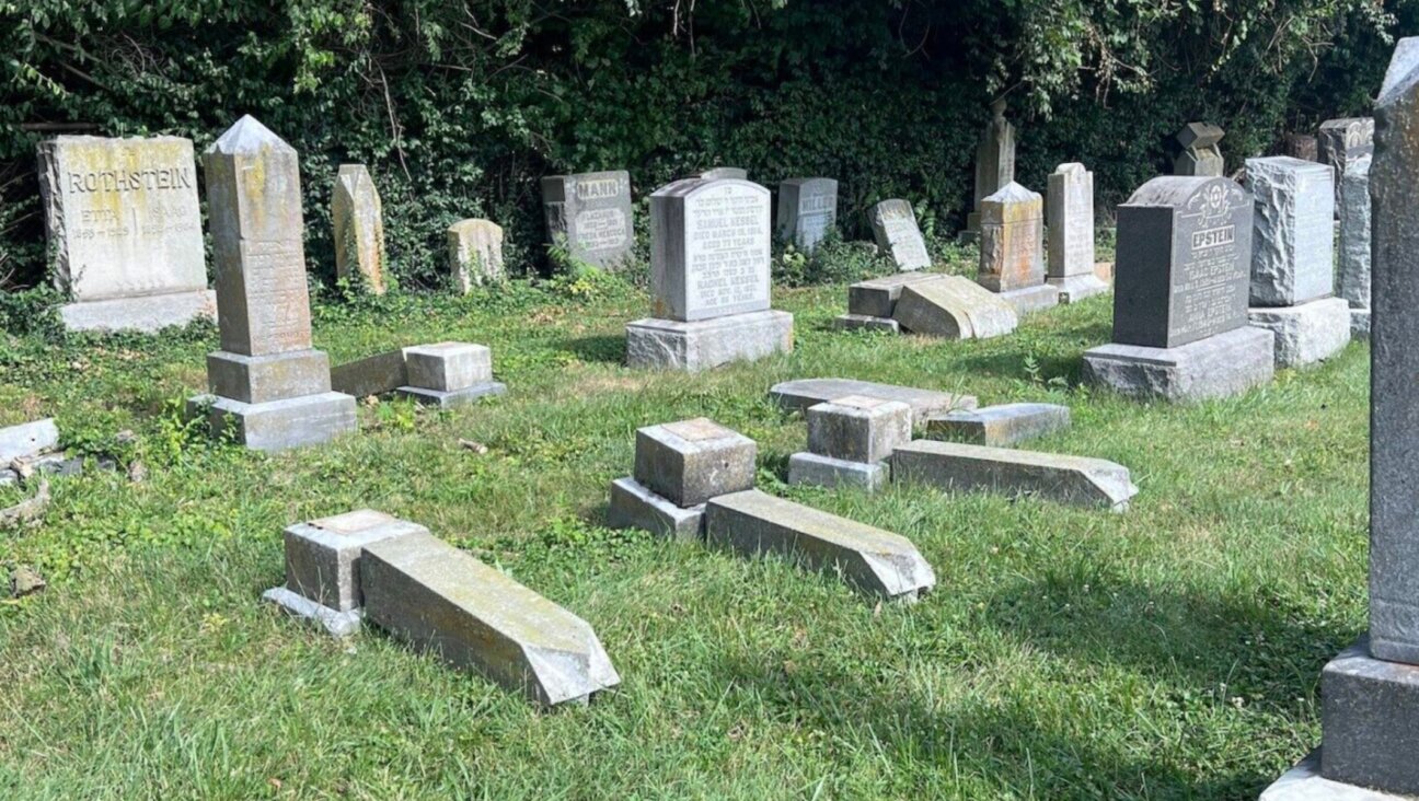 176 gravestones were knocked over in two Jewish cemeteries in Cincinnati, Ohio, July 1, 2024. (Courtesy of Cincy Jewfolk)