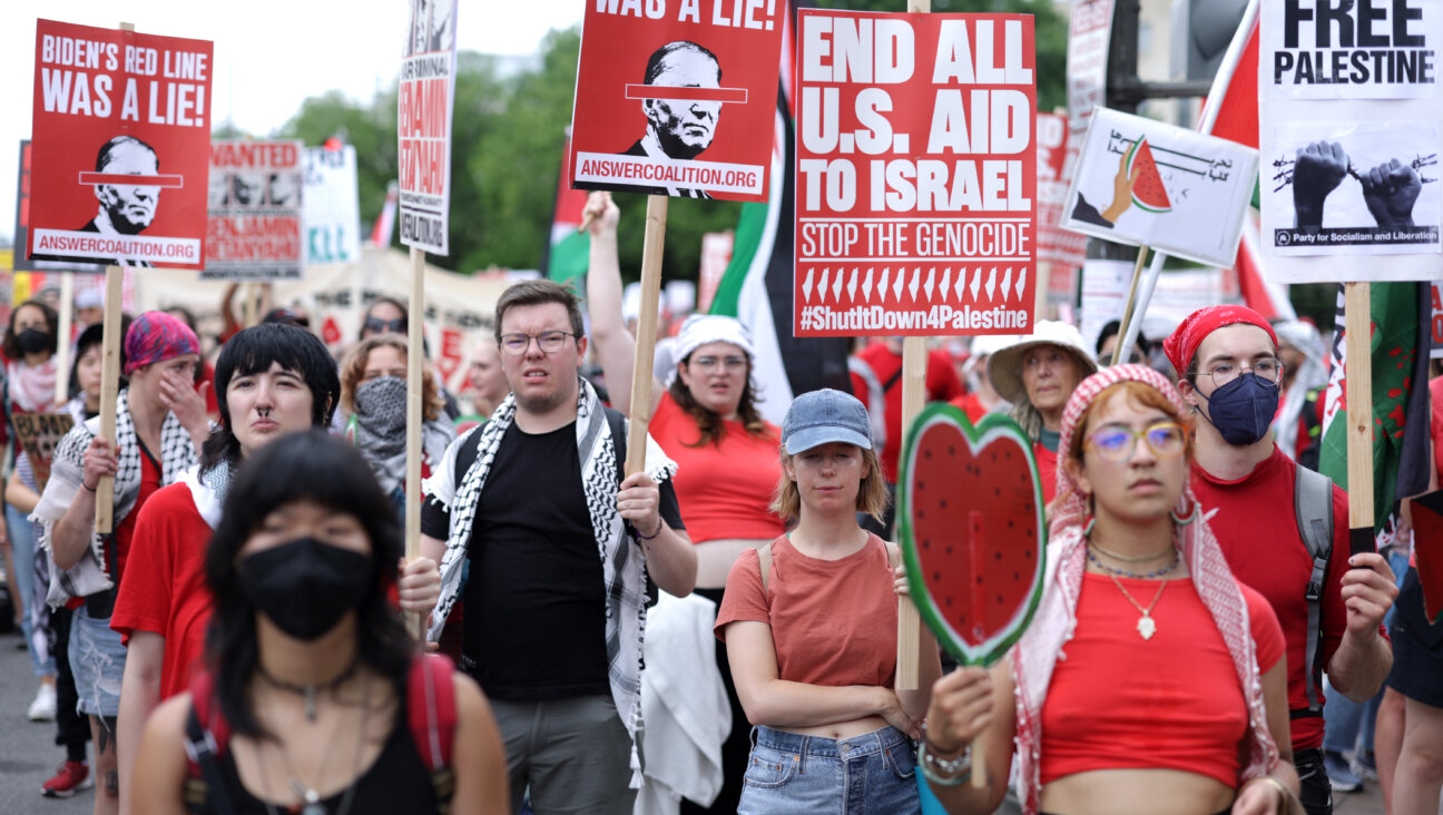 A pro-Palestinian protest near the U.S. Capitol on July 24, 2024 