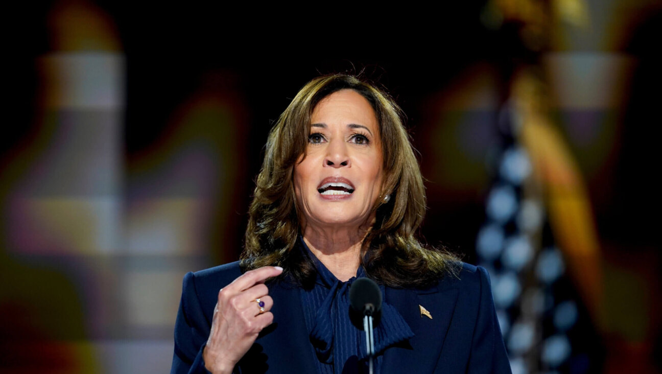 Vice President Kamala Harris speaks during the Democratic National Convention in Chicago.