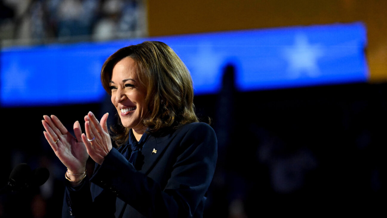 Vice President Kamala Harris speaks during the Democratic National Convention.