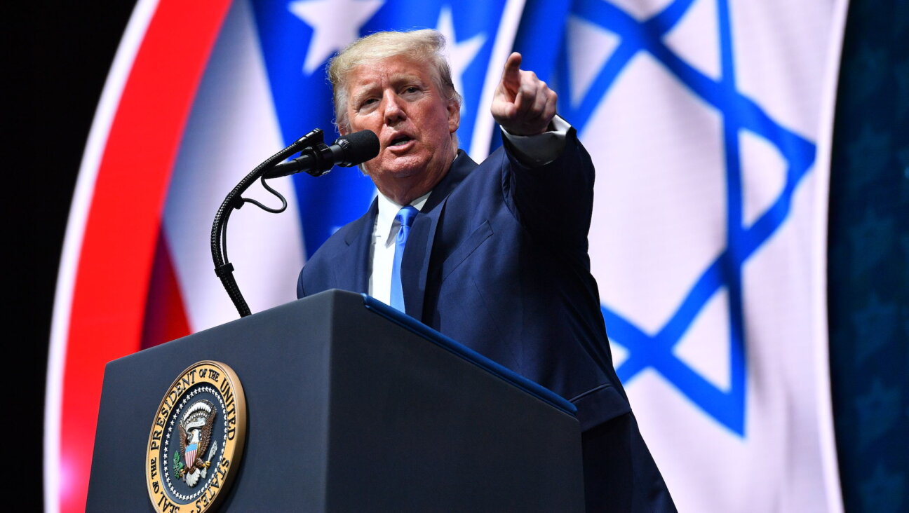 President Donald Trump addresses the Israeli American Council National Summitat the Diplomat Beach Resort in Hollywood, Fla., Dec. 7, 2019. Some took some of his comments as anti-Semitic. (Mandel Ngan/AFP via Getty Images)