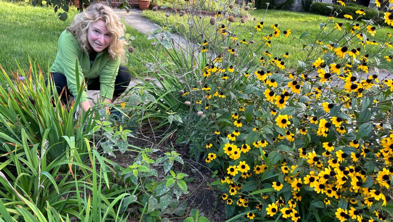 After her father passed away, writer Deb Levy devoted her energy into keeping his agricultural spirit alive in her front yard.