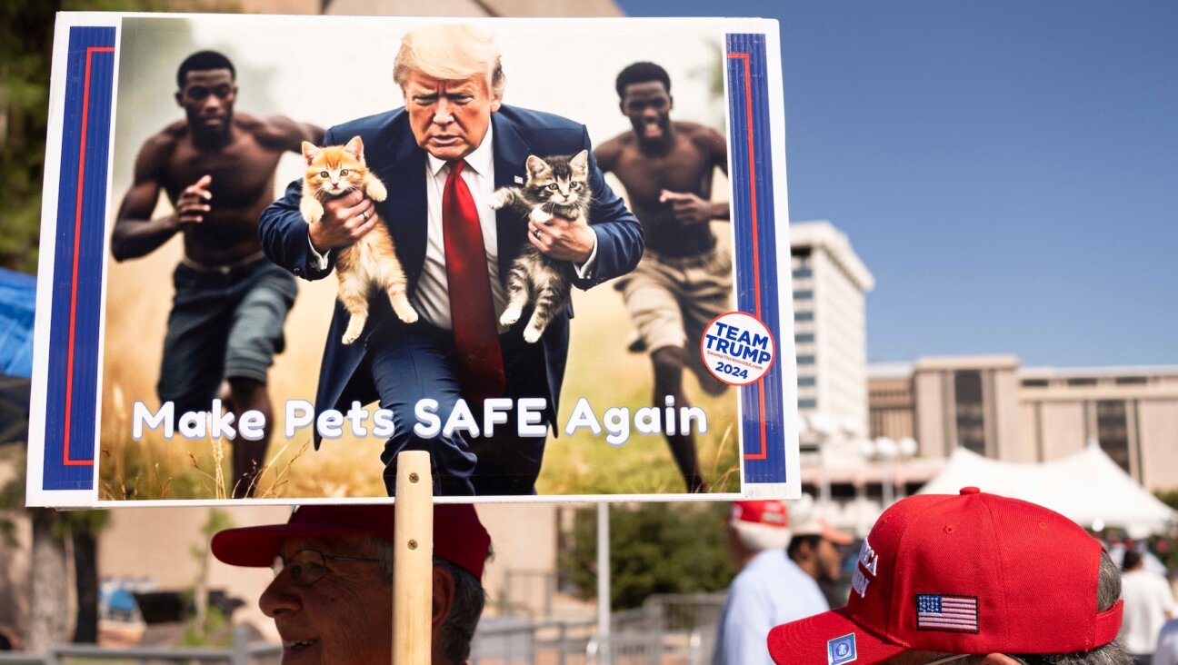 A man carries an AI-generated image of former US President and Republican presidential candidate Donald Trump carrying cats away from Haitian immigrants, a reference to falsehoods spread about Springfield, Ohio, during a campaign rally for Trump at the Tucson Music Hall in Tucson, Arizona, September 12, 2024. (Photo by Rebecca NOBLE / AFP)