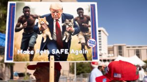 A man carries an AI-generated image of former US President and Republican presidential candidate Donald Trump carrying cats away from Haitian immigrants, a reference to falsehoods spread about Springfield, Ohio, during a campaign rally for Trump at the Tucson Music Hall in Tucson, Arizona, September 12, 2024. (Photo by Rebecca NOBLE / AFP)