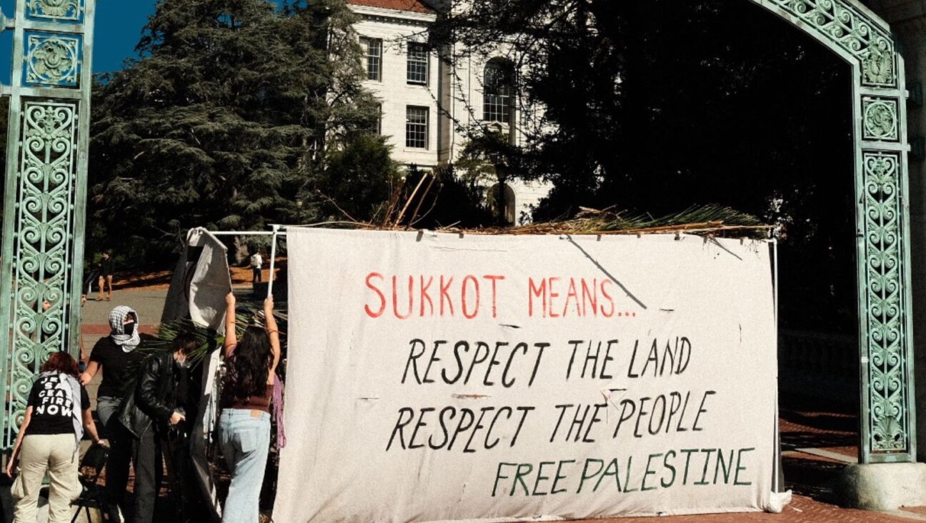 A “Gaza solidarity sukkah” at the University of California, Berkeley last week.