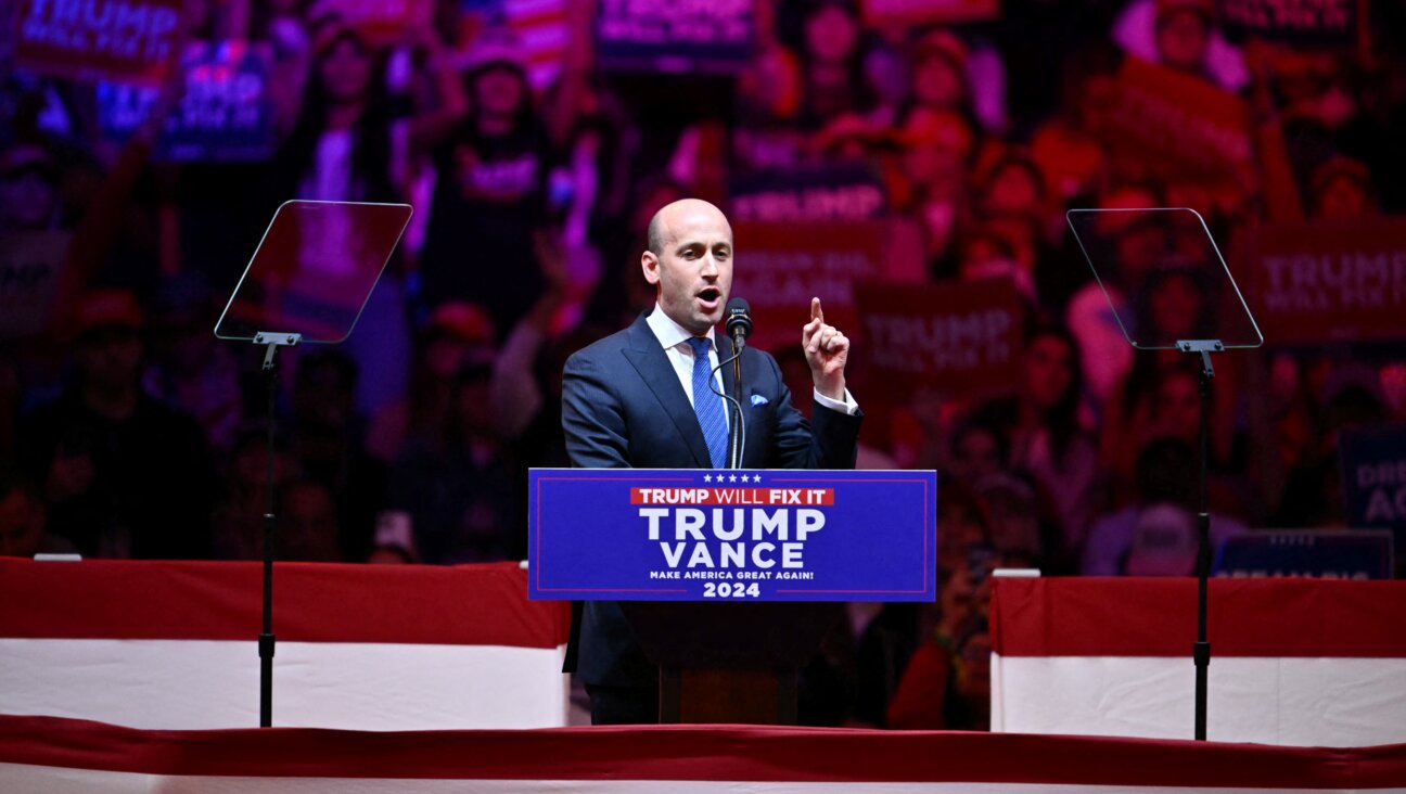 Senior Trump adviser Stephen Miller speaks at a Trump rally at Madison Square Garden.