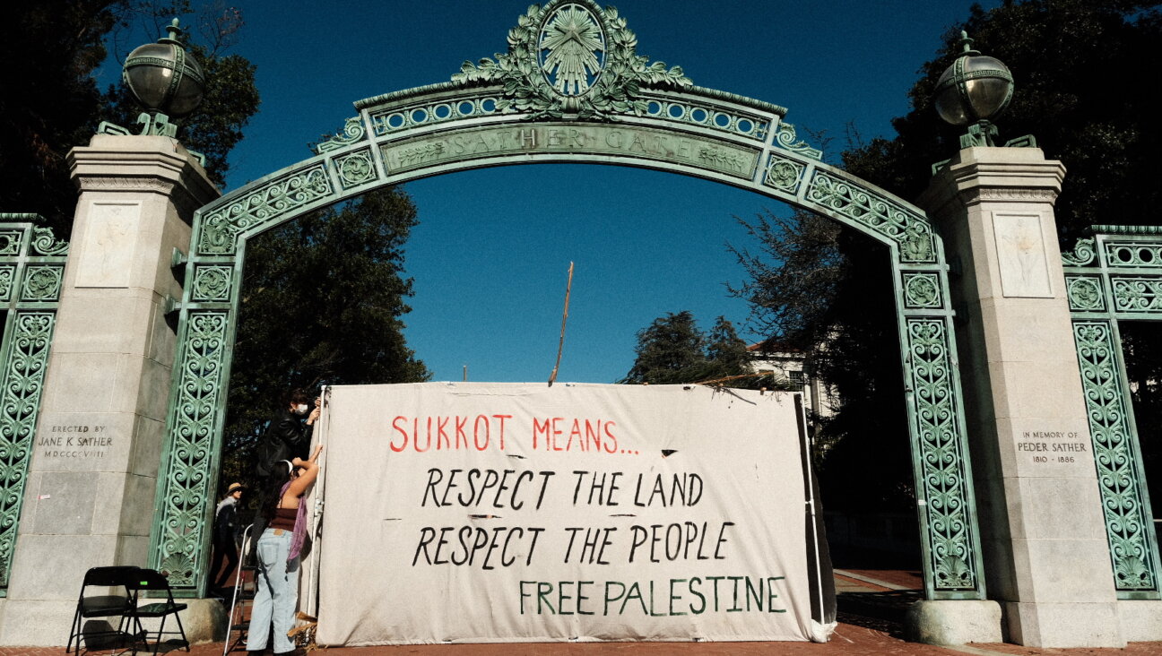 A "Gaza solidarity sukkah" at the University of California, Berkeley.