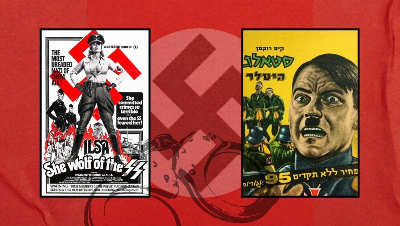 A few covers from Nazisploitation films and stalag fiction.