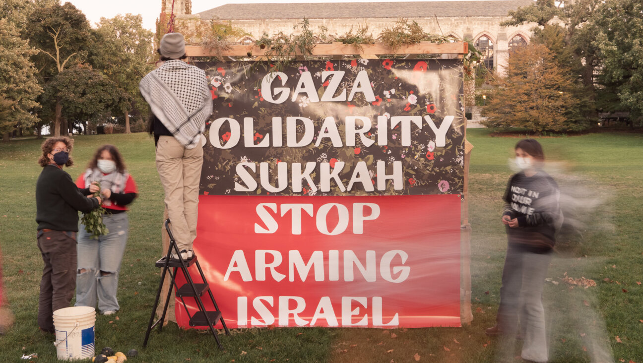 An anti-Zionist Jewish group constructs a “Gaza solidarity sukkah” on the campus of Northwestern University in Evanston, Illinois, for the holiday of Sukkot, 2024. (Courtesy of Jewish Voice for Peace)