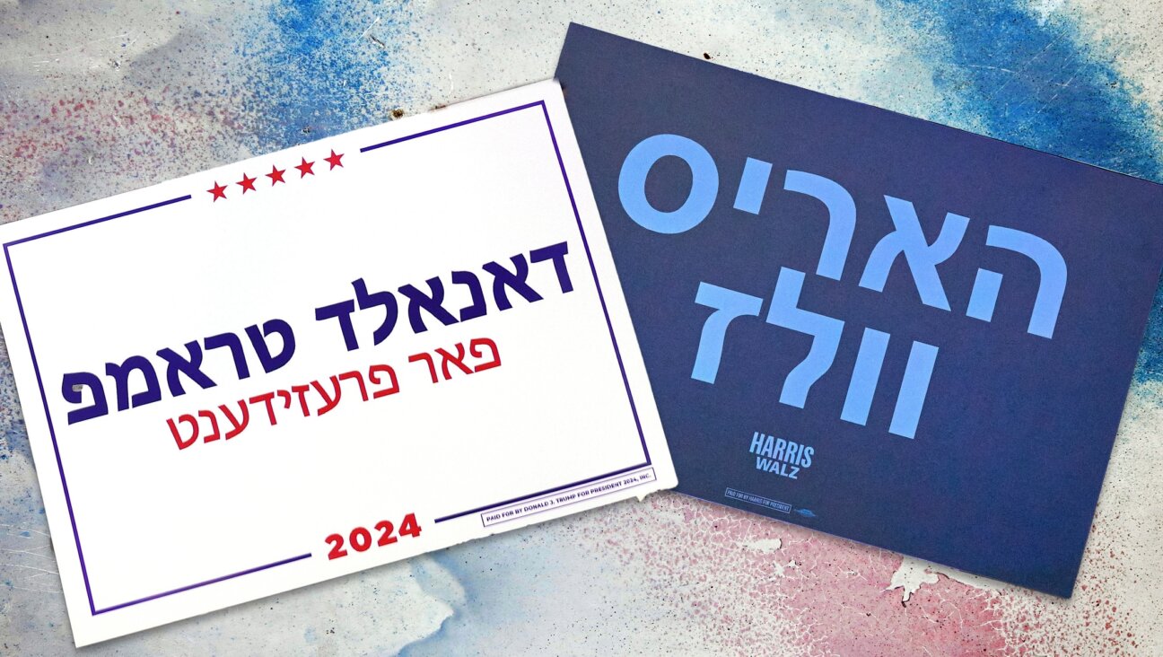 Campaign signs, in Hebrew, in support of Donald Trump (left) and Kamala Harris and her running mate Tim Walz. (Getty Images; JTA illustration by Joseph Strauss)