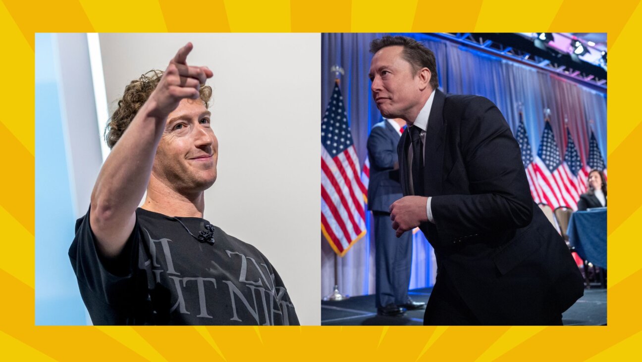 Mark Zuckerberg and Elon Musk have somehow become foils.