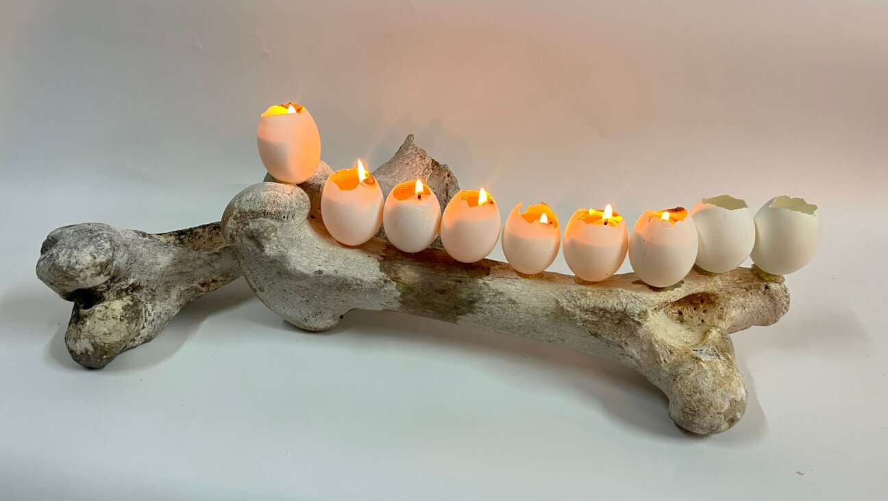 Jeremy Langford made this menorah from a bone he found near his studio near Israel's Ella Valley.