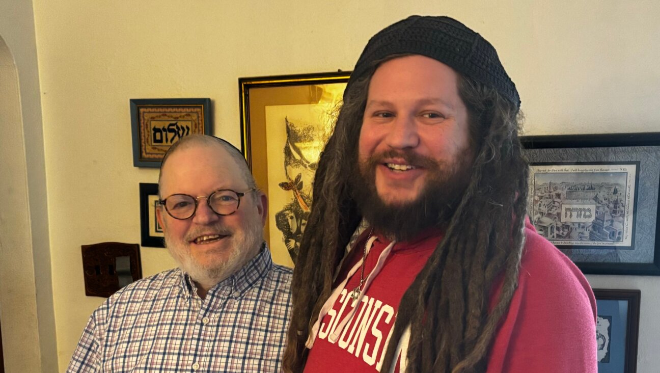 Peter and Zechariah Mehler, Jewish Milwaukee residents, freely admit to having torn down a pro-Palestinian mural depicting a Star of David turning into a swastika. (Courtesy)