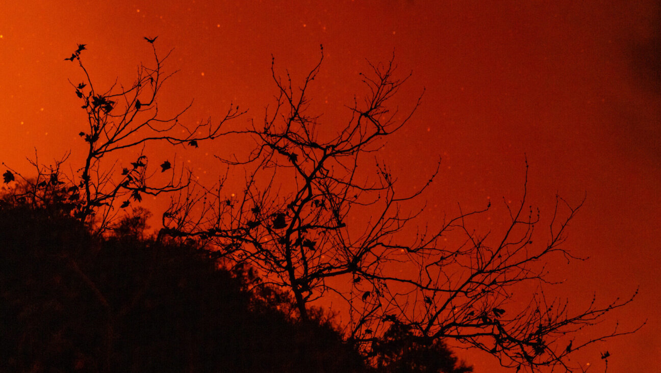 The Palisades fire spread through Mandeville Canyon towards Encino on Friday, Jan. 10, 2025, in Los Angeles. (Jason Armond / Los Angeles Times via Getty Images)