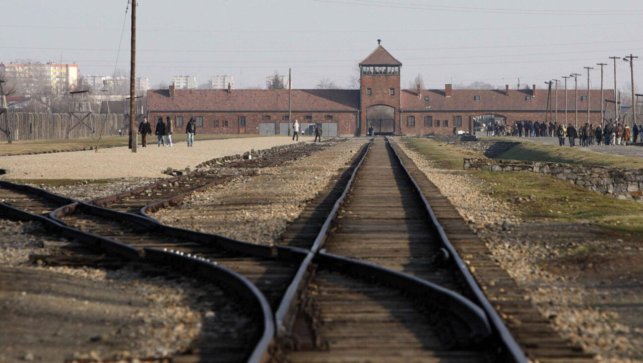 The train tracks at Birkenau, where trains from countries across Europe delivered Jews to Auschwitz and the Nazis during the Holocaust. (Dave Thompson – PA Images/PA Images via Getty Images)