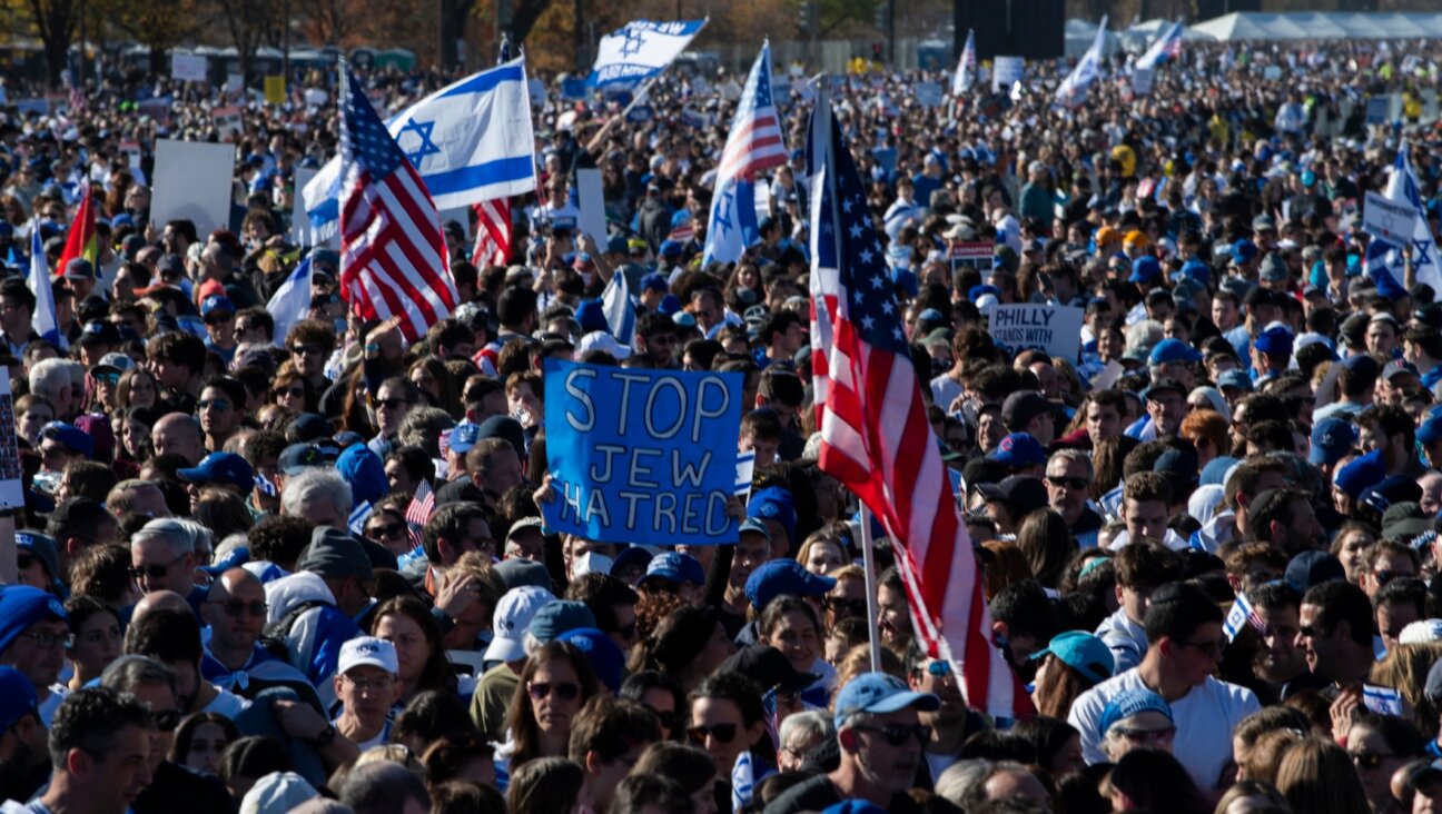 Demonstrators in support of Israel gather to denounce antisemitism and call for the release of Israeli hostages, on the National Mall in Washington, DC, on November 14, 2023. (Photo by Roberto Schmidt/AFP via Getty Images)