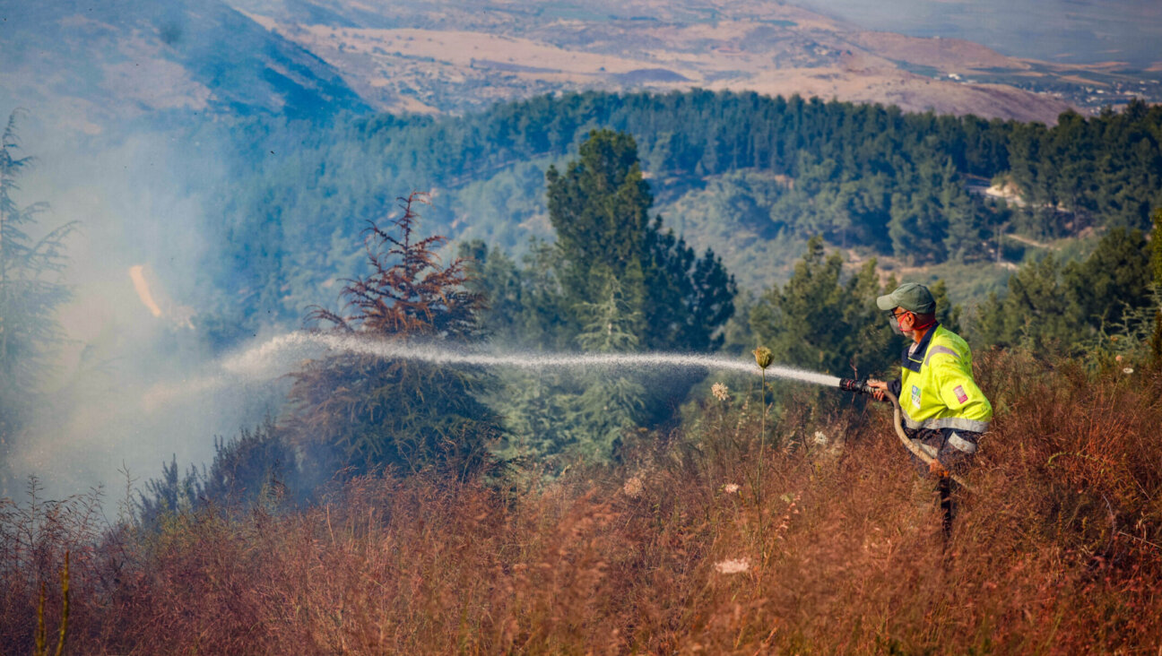 Israeli firefighters try to extinguish a fire that started from a fragments of an interception missile at the Biriya Forest in northern Israel, June 4, 2024. (David Cohen/Flash90)