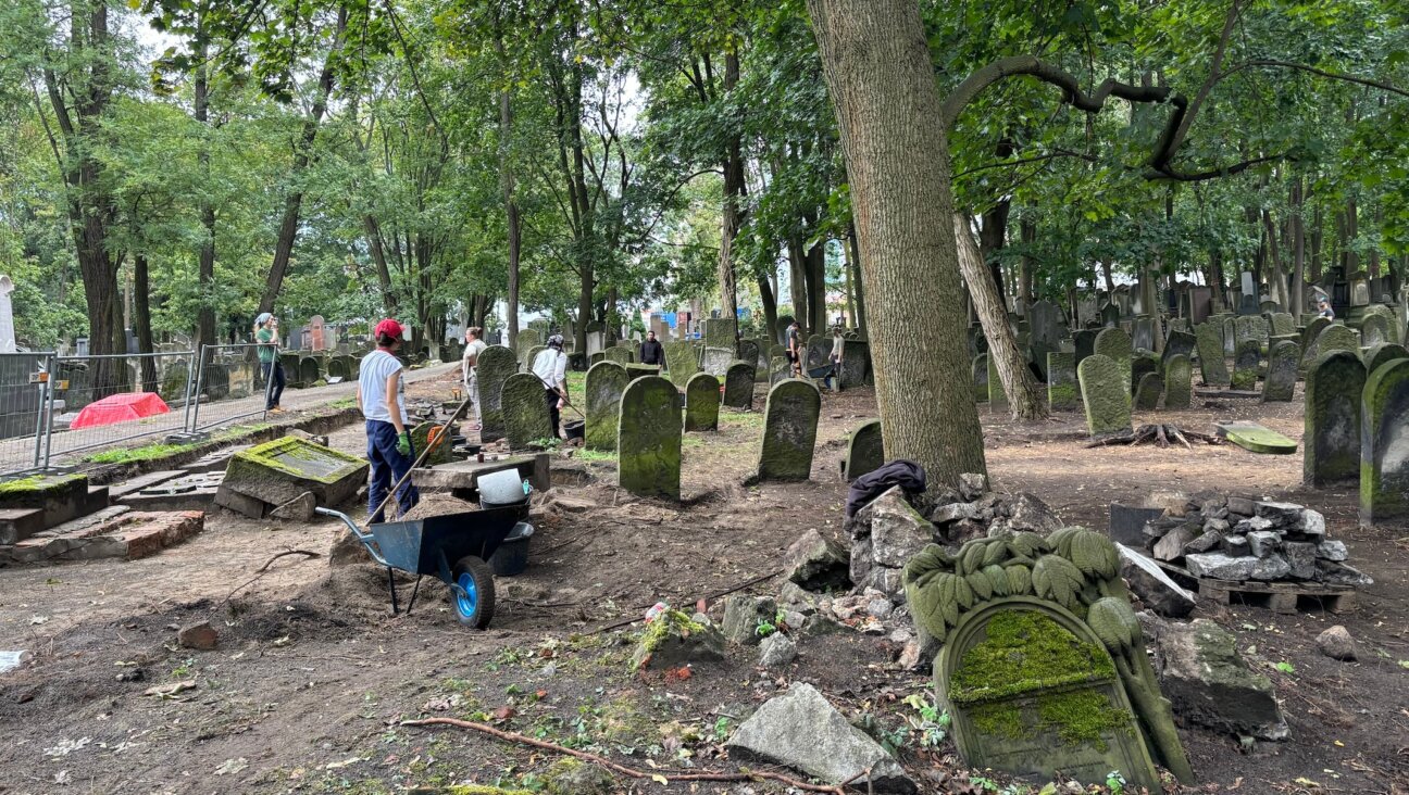 Polish archaeology students at work excavating a Jewish cemetery in Warsaw, September 2024. (Shira Li Bartov)