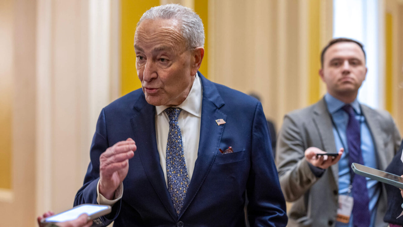 Senate Minority Leader Chuck Schumer (D-NY) speaks to reporters at the U.S. Capitol on March 14. 