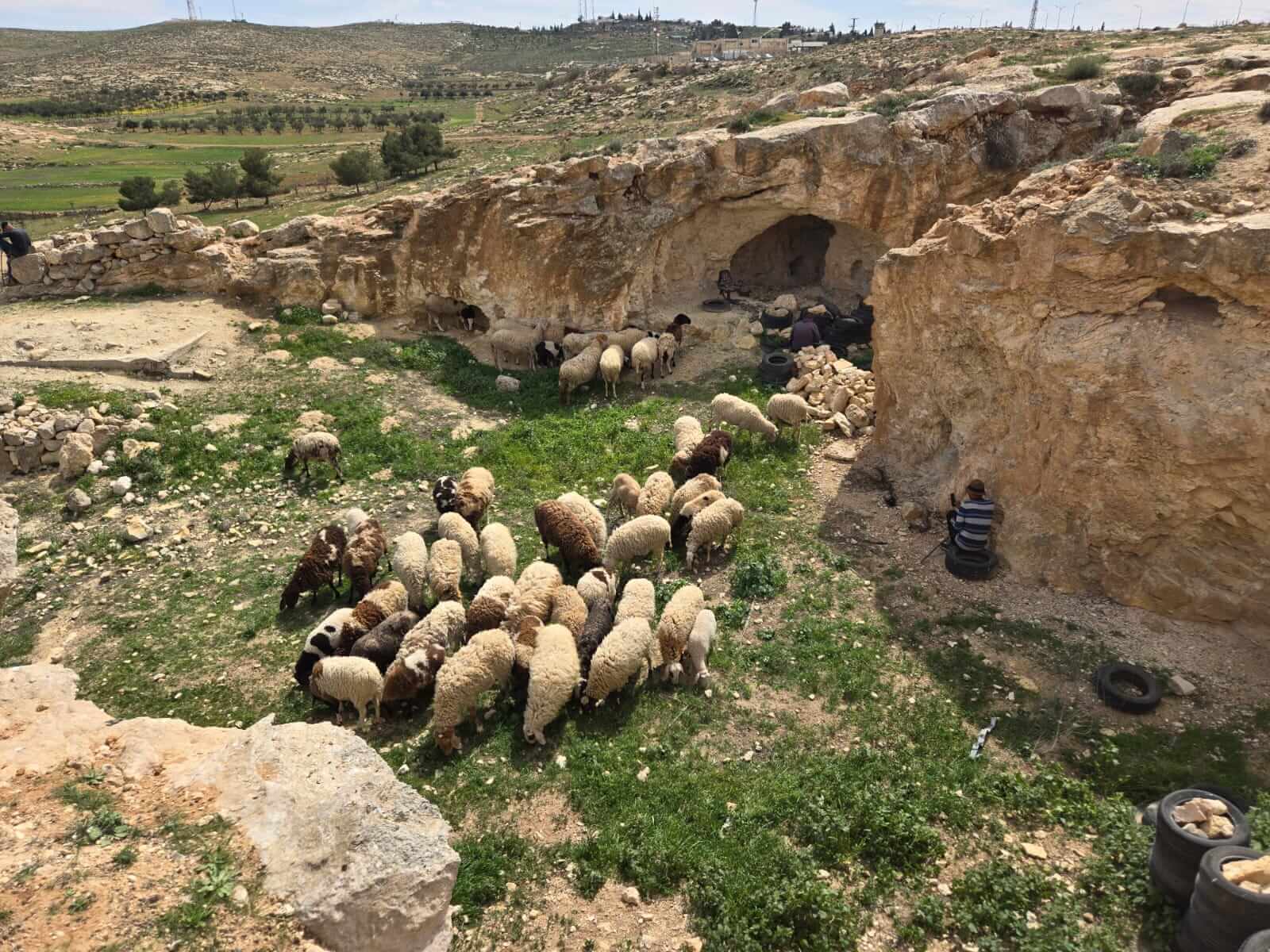 SHEPHERDS MASAFER YATTA