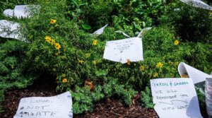 Notes remembering Sarah Milgrim and Yaron Lischinsky are left at a makeshift memorial outside the Capital Jewish Museum in Washington, D.C., where they were murdered on May 21, 2025. (Ted Eytan/Creative Commons)