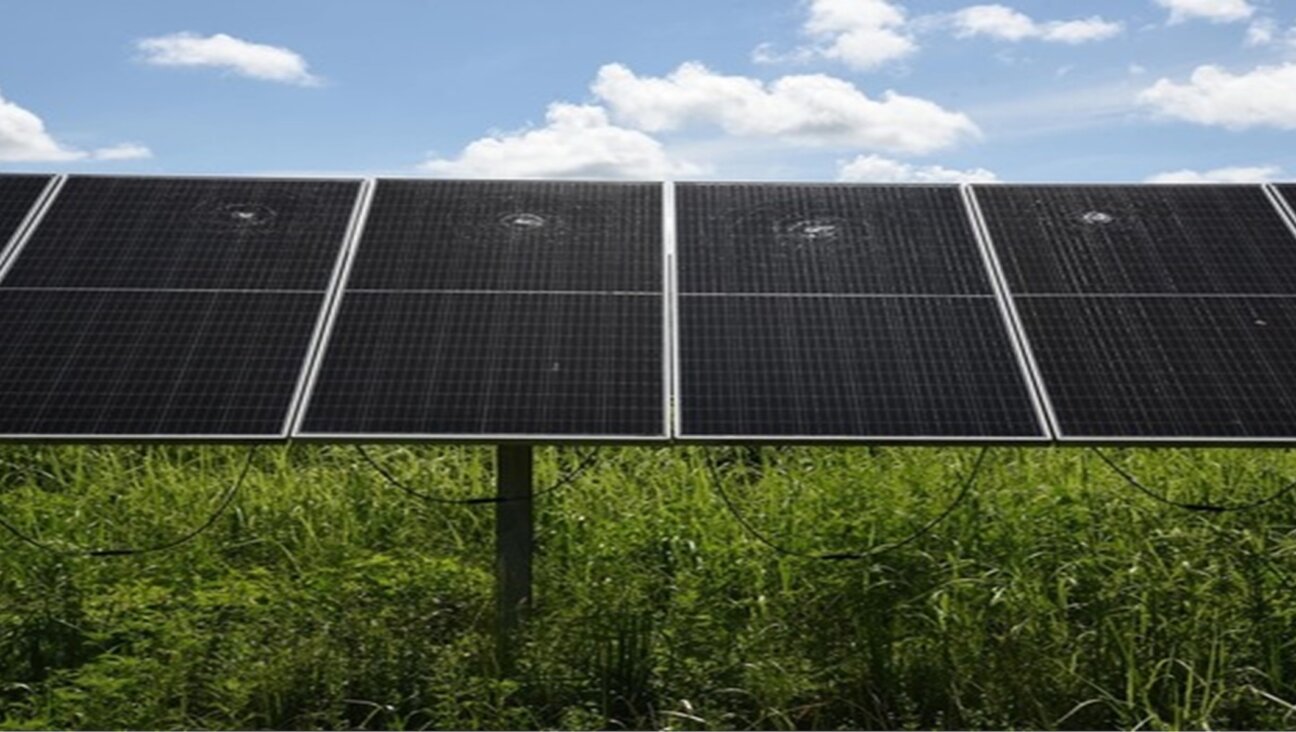 A photo of solar panels in Wedgefield, Florida, with cracked glass, submitted as evidence in a federal case against a Jordanian national charged with targeting various businesses he believed supported Israel. The photo was filed by the U.S. Department of Justice, April 24, 2025. (Government photo)