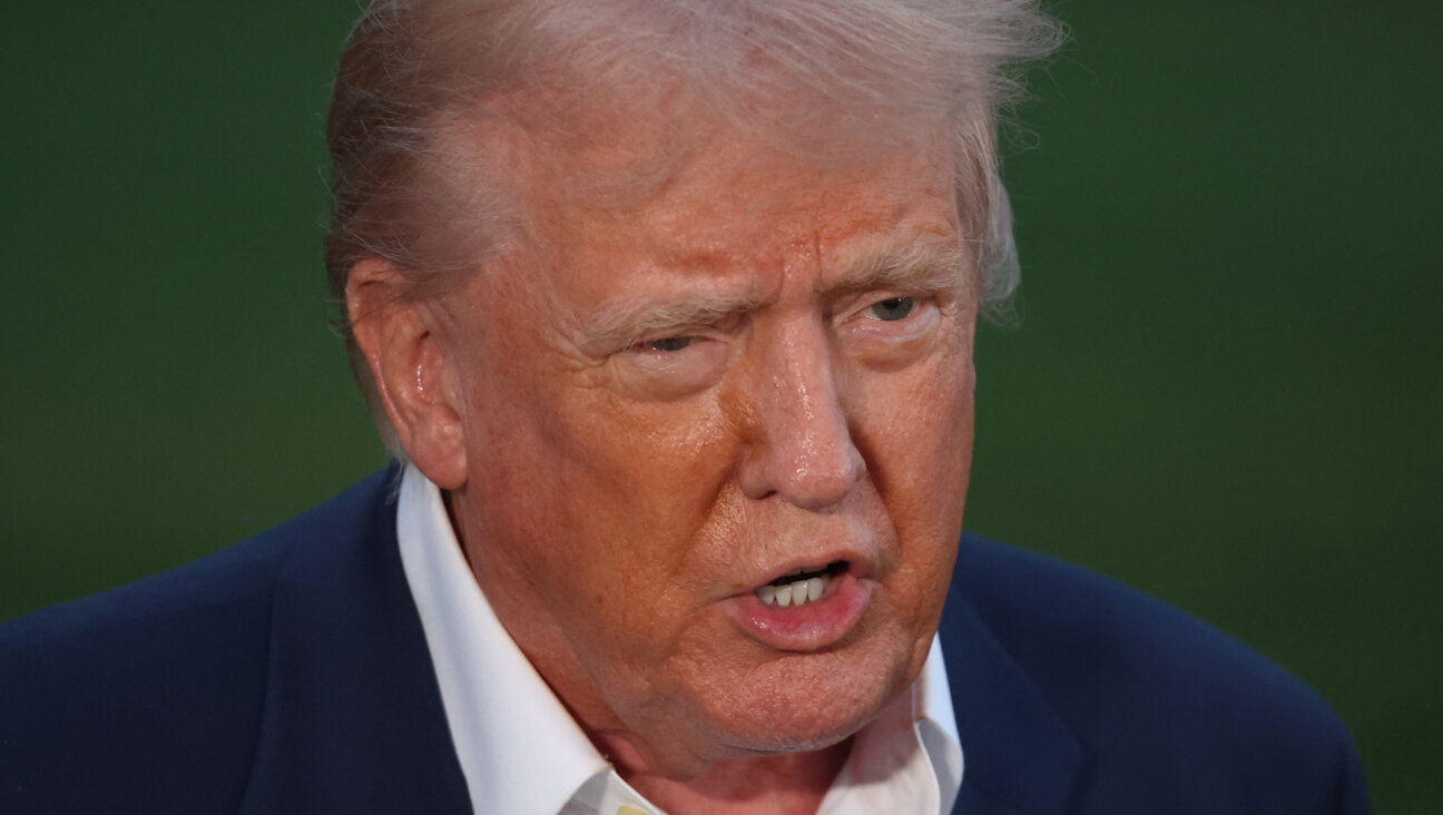 Donald Trump takes questions from the press on the South Lawn of the White House.