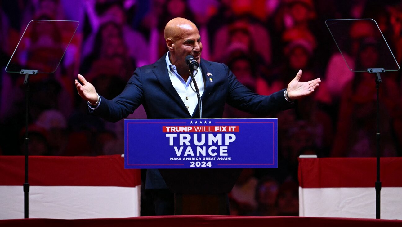 Sid Rosenberg speaks at a campaign rally for Donald Trump at Madison Square Garden, New York, Oct. 27, 2024. (Angela Weiss/AFP via Getty Images)