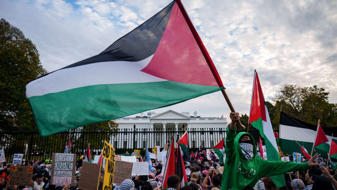 Demonstrators fly Palestinian flags outside the White House during the National March on Washington for Palestine, Nov. 4, 2023. 