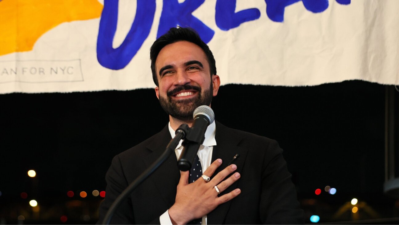 New York State Assemblyman Zohran Mamdani addresses his supporters at a Democratic primary election night watch party in New York City. (Michael M. Santiago via Getty Images)