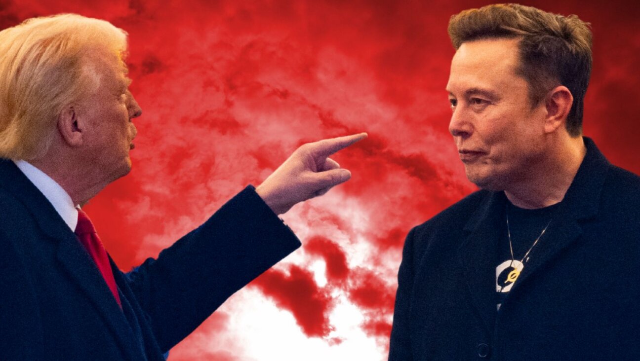 Trump and Musk's bromance dramatically fell apart in a public online feud this week.