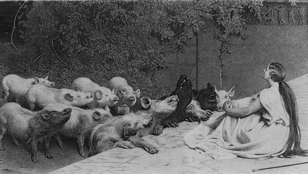 Circe sits before the Companies of Odysseus after having turned them into a herd of swine on the Island of Acaca.