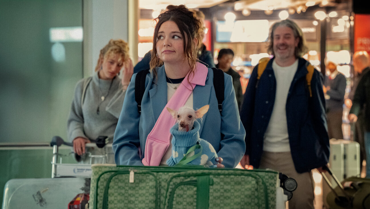 On her way to London with her hairless dog, just like any super normal girlypop looking for love.