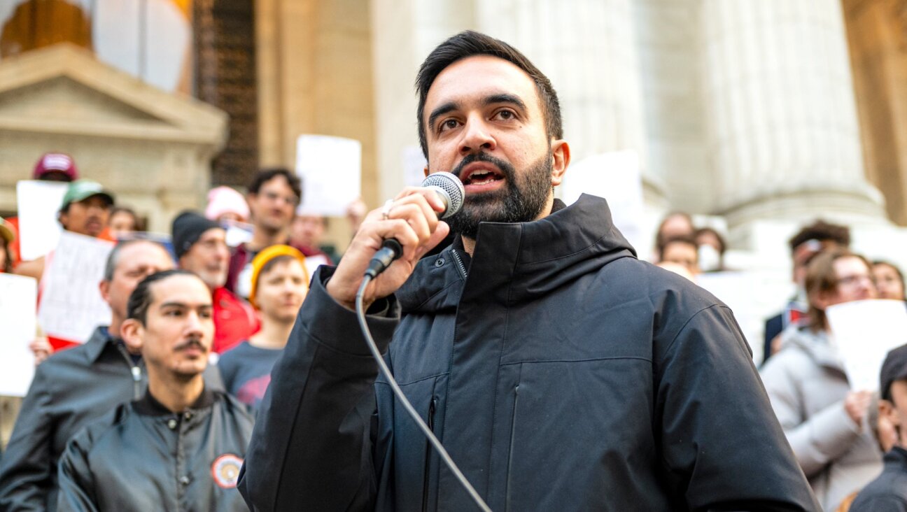 Zohran Mamdani speaks at the Resist Fascism Rally in Bryant Park, Oct. 27, 2024. (Bingjiefu He/Wikimedia Commons)