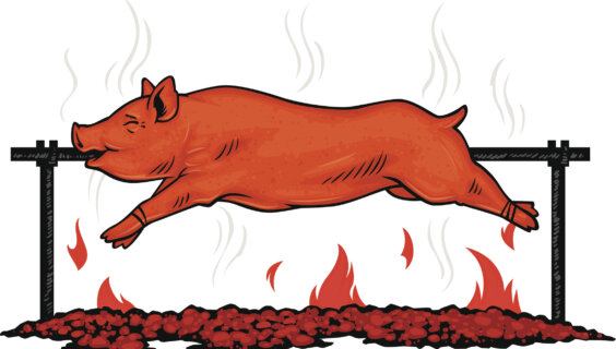 pig roasting over a fire