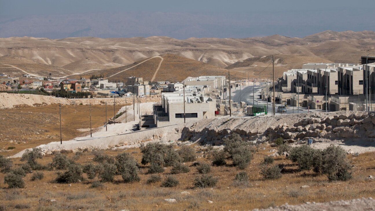 Housing in the Jewish settlements of Nokdim and Kfar Eldad, in the West Bank, September 11, 2022.