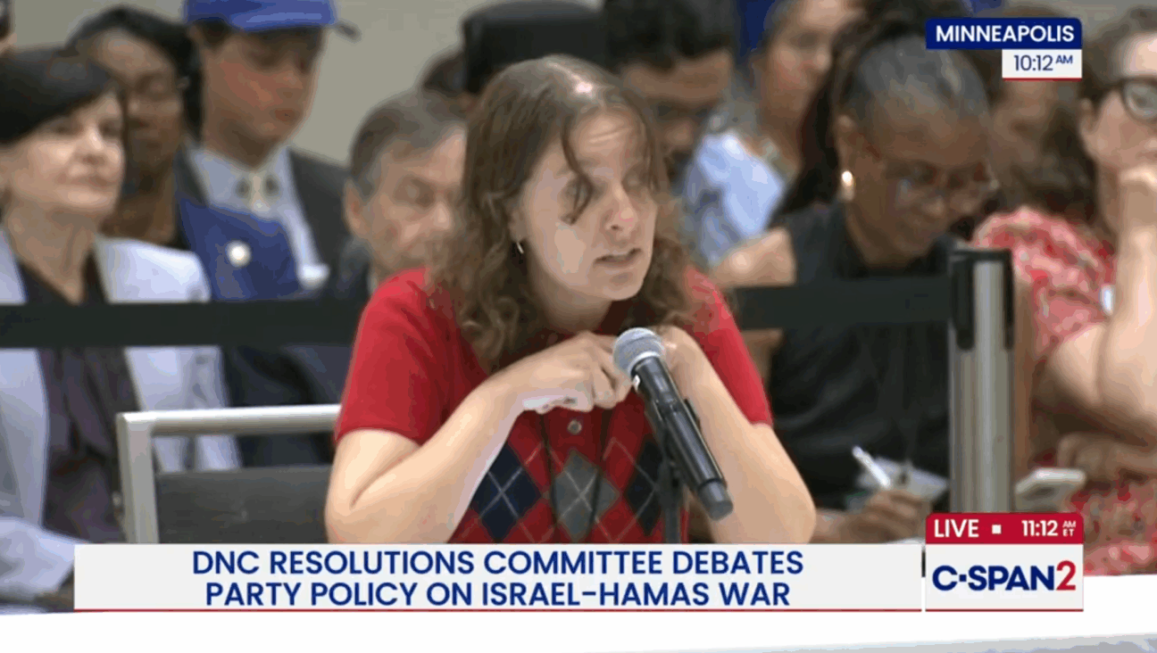 Allison Minnerly, a new Gen Z DNC member from Florida, speaks about a resolution she proposed seeking to block arms sales to Israel and recognize a Palestinian state.