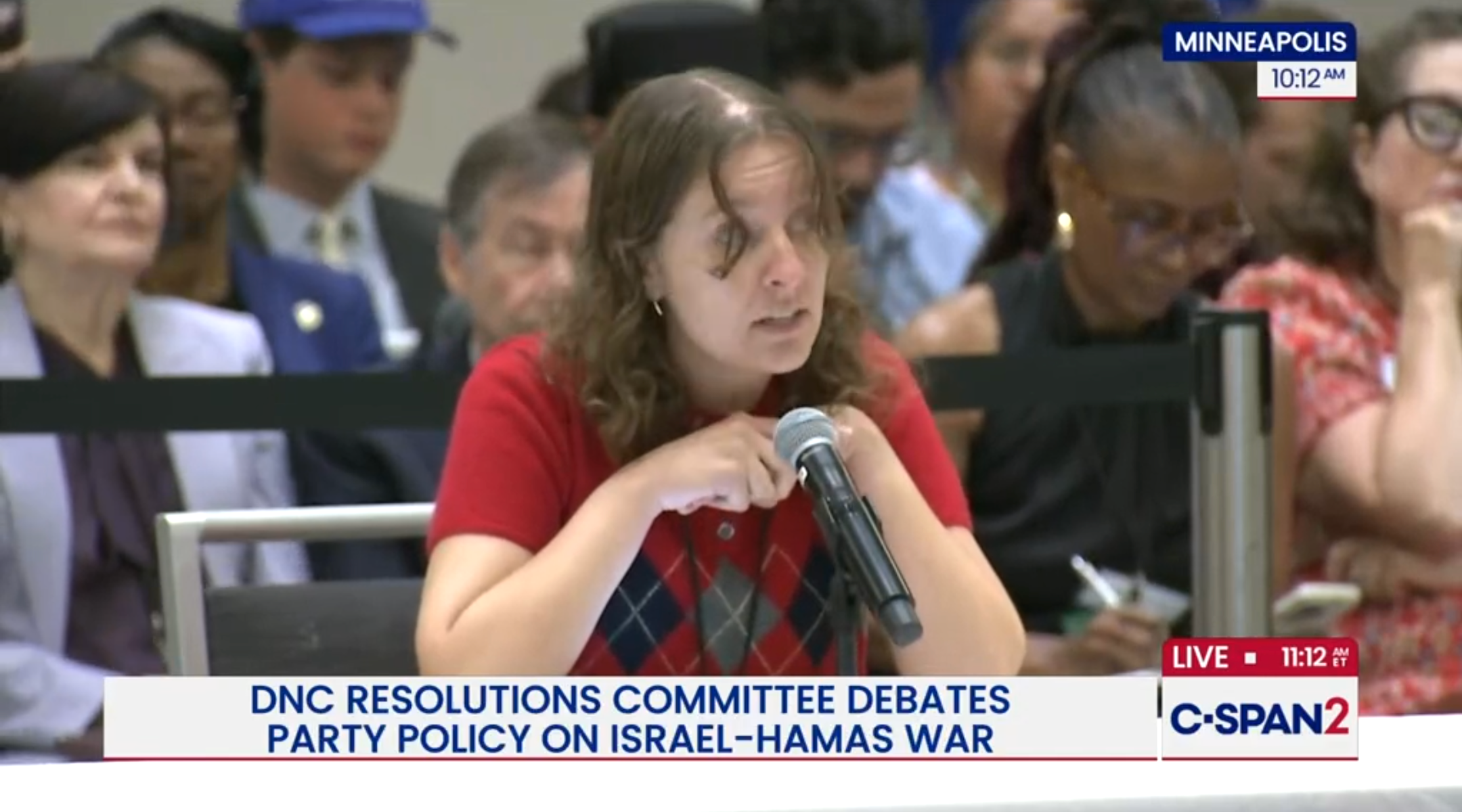 Allison Minnerly, a new Gen Z DNC member from Florida, speaks about a resolution she proposed seeking to block arms sales to Israel and recognize a Palestinian state.